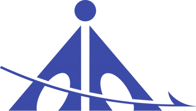 Airports Authority Of India.png